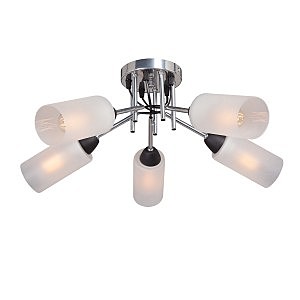 Потолочная люстра Vitaluce V4896-9/5PL