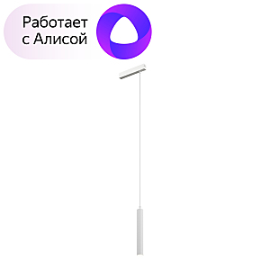 Трековый светильник Smart Spot DK8008-WH