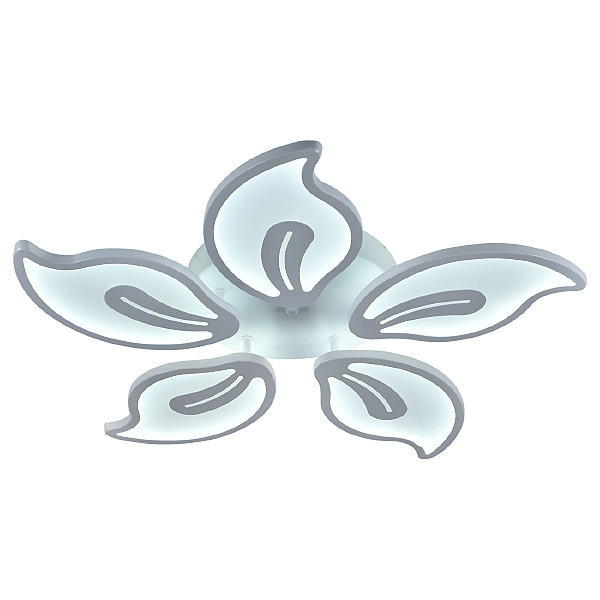 Потолочная люстра Flame 10215/5LED