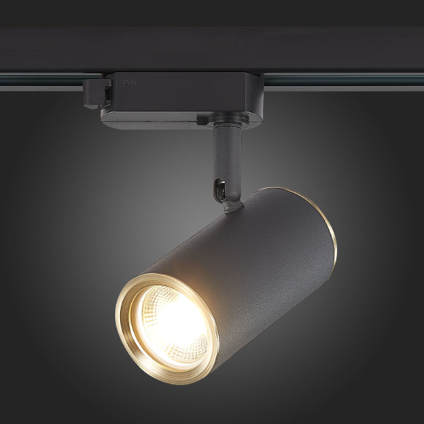 Трековый светильник Cromi ST301.436.01