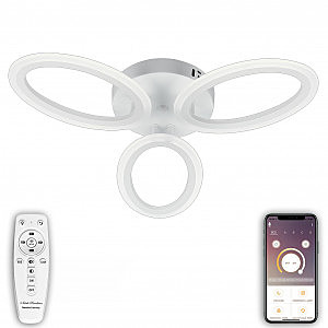 Потолочная люстра HIGH-TECH LED LAMPS HIGH-TECH LED LAMPS 82032