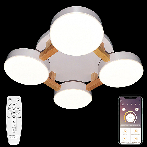 Потолочная люстра LED LED LAMPS 81325