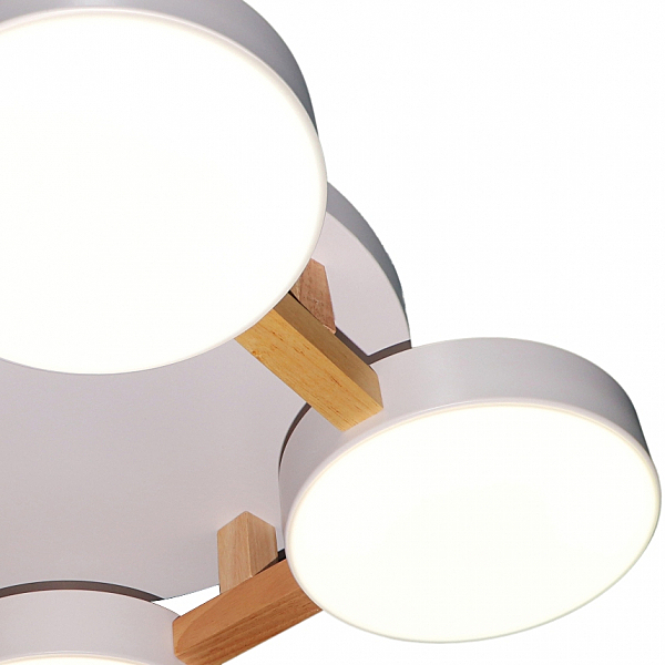 Потолочная люстра LED LED LAMPS 81325