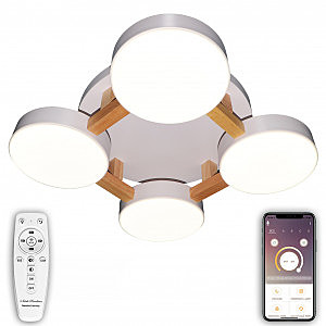 Потолочная люстра LED LED LAMPS 81325