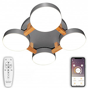 Потолочная люстра LED LED LAMPS 81326