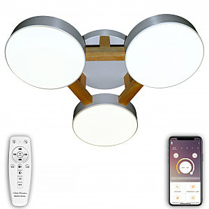 Потолочная люстра LED LED LAMPS 81327