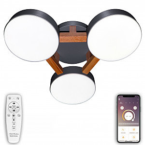 Потолочная люстра LED LED LAMPS 81328