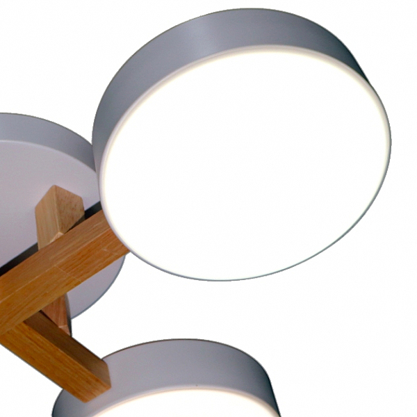 Потолочная люстра LED LED LAMPS 81329