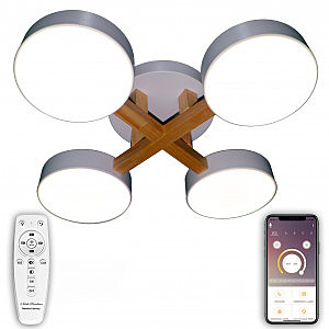 Потолочная люстра LED LED LAMPS 81329