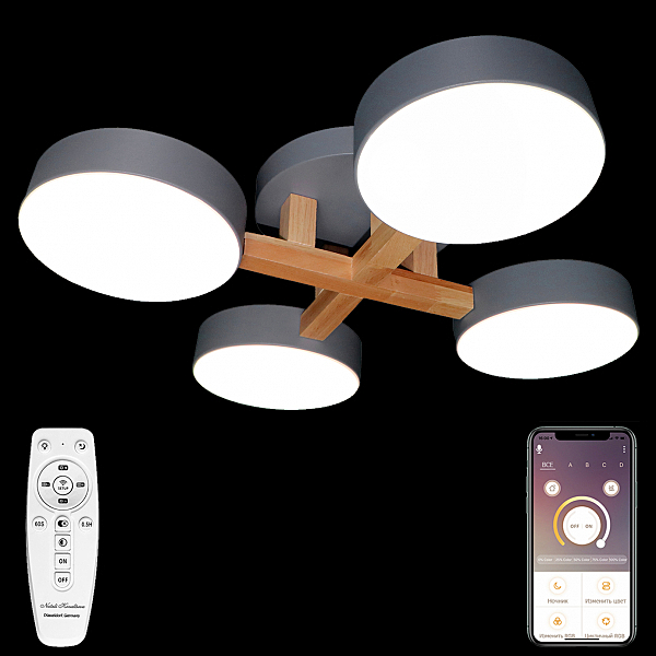 Потолочная люстра LED LED LAMPS 81330