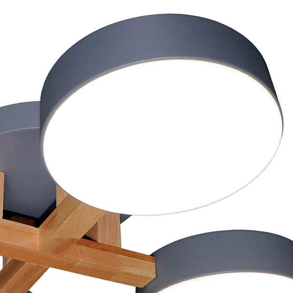 Потолочная люстра LED LED LAMPS 81330