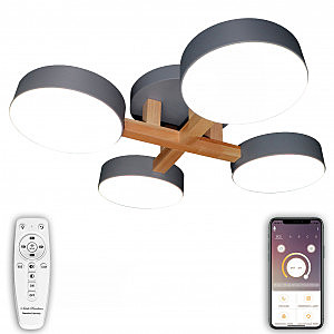 Потолочная люстра LED LED LAMPS 81330