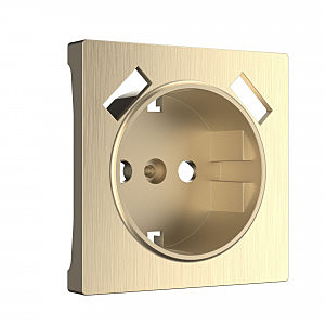 Накладка на механизм W1179510/ Накладка для розетки USB (шампань рифленый)