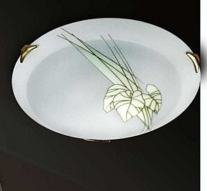 Настенно потолочный светильник Sonex LIST 248