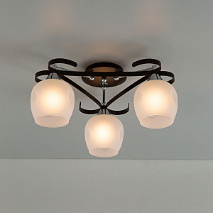 Потолочная люстра Сюзи CL171134