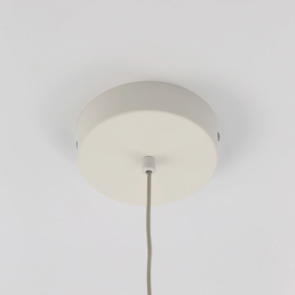 Светильник подвесной Паркер CL225B210