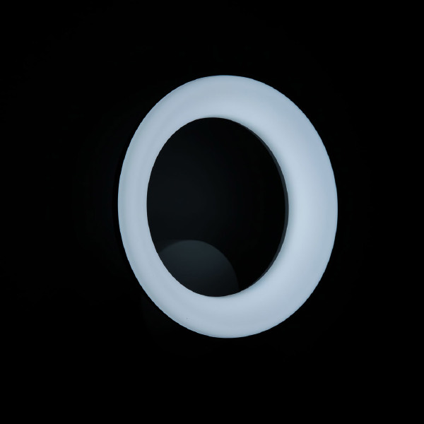 Настенное бра Паркер CL225B310