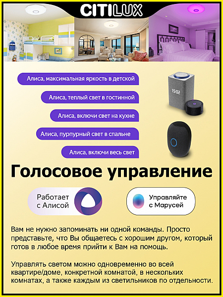 Светильник потолочный Диамант Смарт CL713A30G