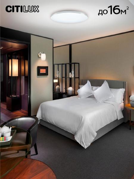 Светильник потолочный Симпла CL714480G