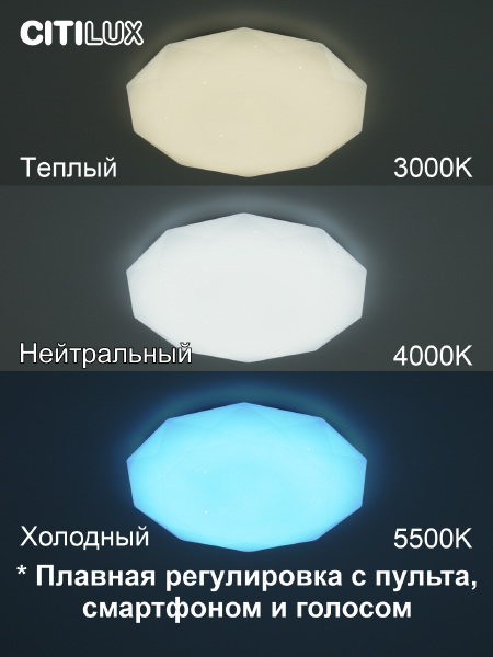 Светильник потолочный Астрон CL733480G