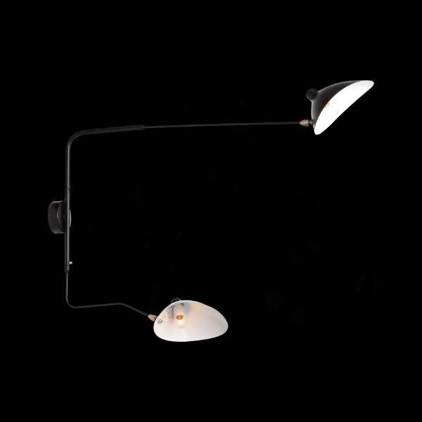 Настенный светильник Spruzzo SL305.401.02