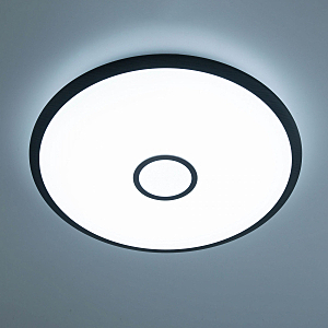 Светильник потолочный Старлайт Смарт CL703A105G