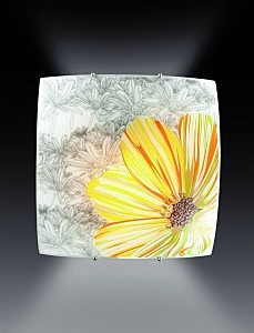 Настенно потолочный светильник Sonex TREZA 1234