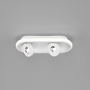 Светильник спот Slam 20123/2 LED белый