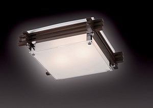 Настенно потолочный светильник Sonex 2241V