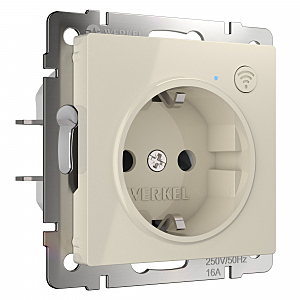 Розетка Werkel W1171603/ Розетка Wi-Fi (слоновая кость)