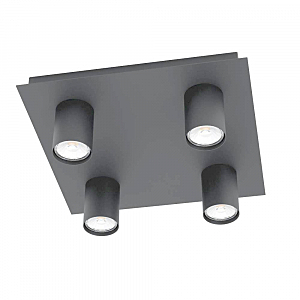 Светильник потолочный Valcasotto 99516