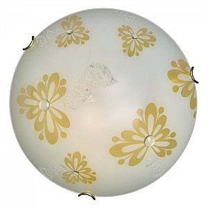 Настенно потолочный светильник Sonex KURTISA 224