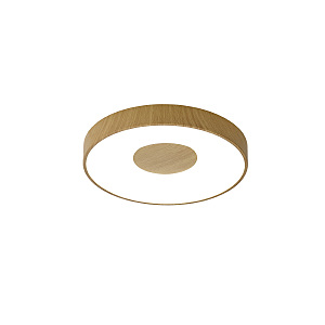 Светильник потолочный Coin 7568