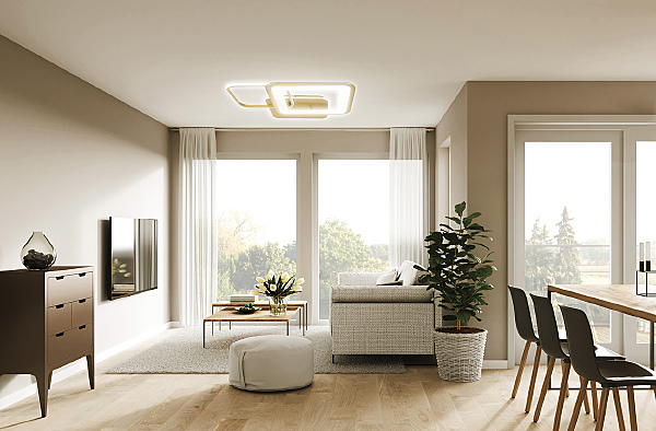 Потолочная люстра Lynx 10246/2LED