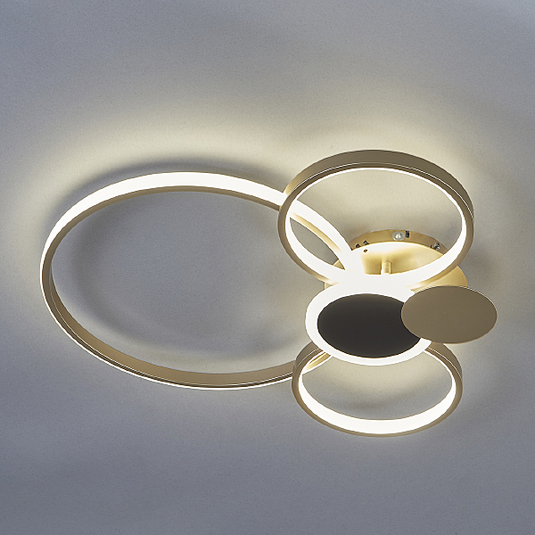 Потолочная люстра Pleiades 10247/4LED