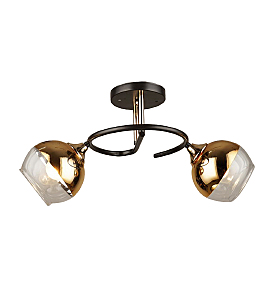 Потолочная люстра Gera 1115/2PL