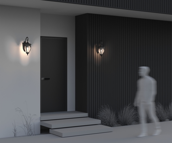 Уличный настенный светильник Fleur O414WL-01BZ