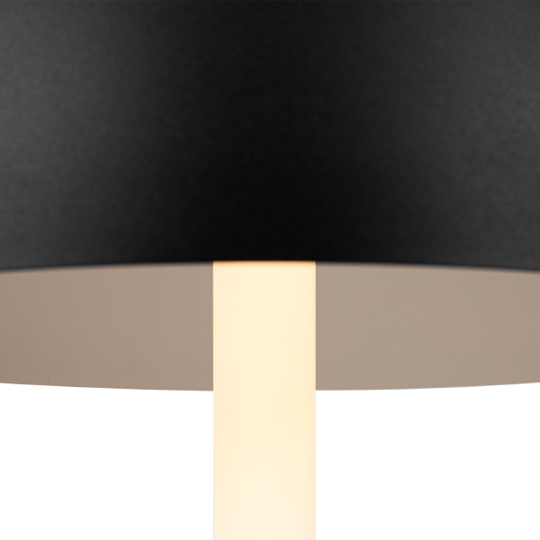 Настольная лампа Ray Z012TL-L8B3K