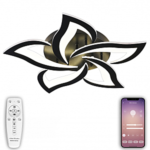 Innovation Style INNOVATION STYLE 83002 BLACK