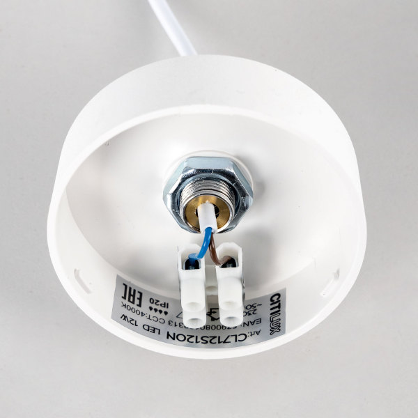 Светильник подвесной Тао CL712S120N