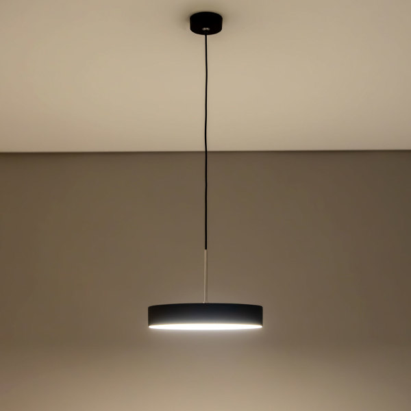 Светильник подвесной Тао CL712S242N