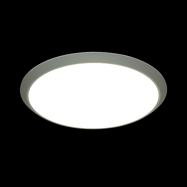 Настенно потолочный светильник Yuki 3063/50L