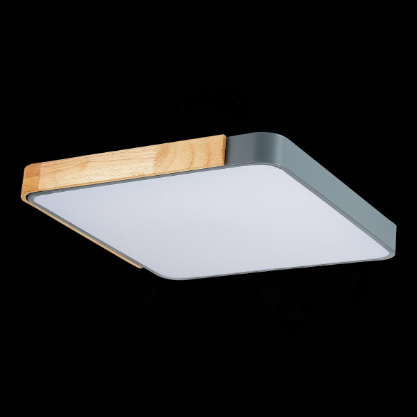 Светильник потолочный Festa SLE201272-01