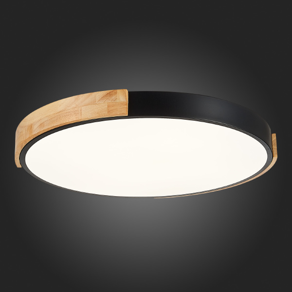 Светильник потолочный Delia SLE201342-01