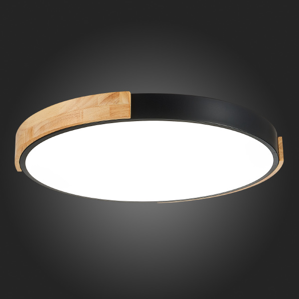 Светильник потолочный Delia SLE201342-01