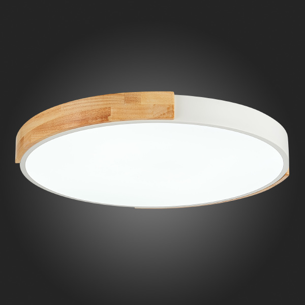 Светильник потолочный Delia SLE201352-01