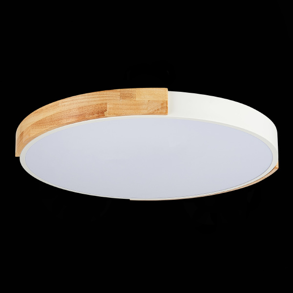 Светильник потолочный Delia SLE201352-01