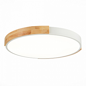 Светильник потолочный Delia SLE201352-01