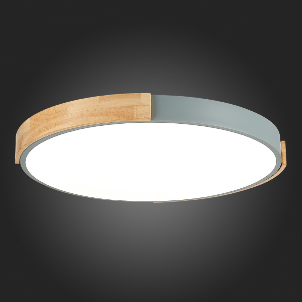 Светильник потолочный Delia SLE201372-01