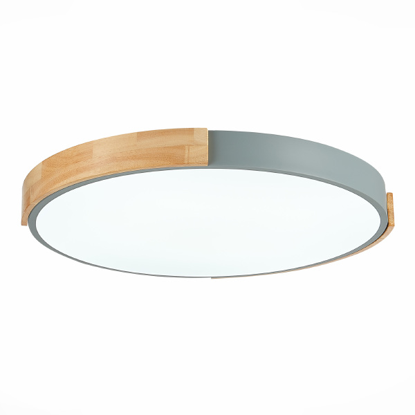 Светильник потолочный Delia SLE201372-01